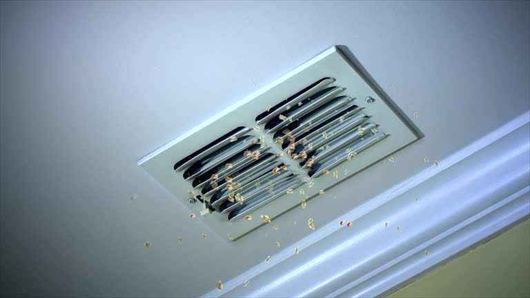 Ventilation Cleaning Services in Walhalla, SC