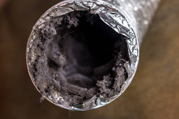 Best Residential Air Duct Cleaning  in Walhalla, SC
